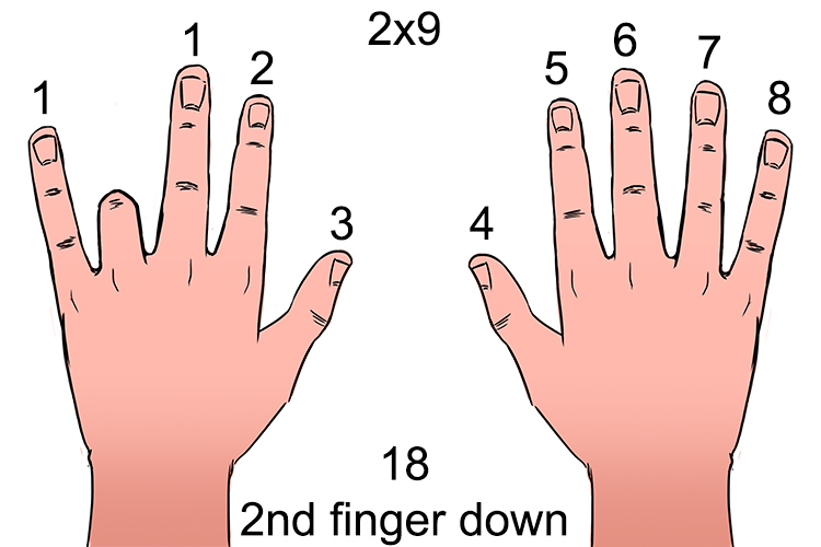 Bend the second finger down, the number that is left of the bent finger will give you the first part of the number, then the amount of fingers to the right of the bent finger gives you the second part of the number, for 9x2 =18